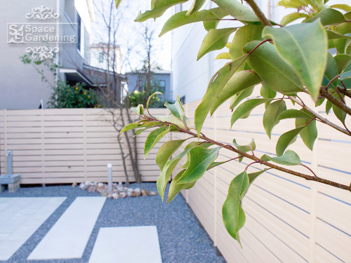 �ܱ����ե��󥹡�F&F �ޥ��ƥ����åɡ��ǥ�2�ʥҥΥ��˳��졡����ѥ�ǥ������Х�ޥܥ���