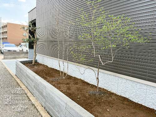 ���š��֥��å���TOYO����ǥ꡼�� ������