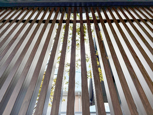 �ܱ����ե��󥹡����ܳʻҡ��������硼 ��С����֥��˥å�