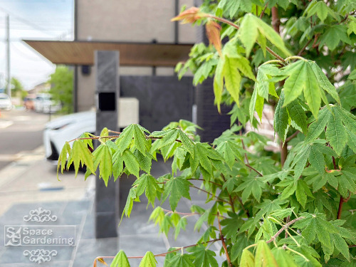 ���ϥ����參����