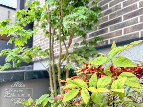 ���ϡ����ϥ����參���ǡ������ե��ʥ�ƥ�