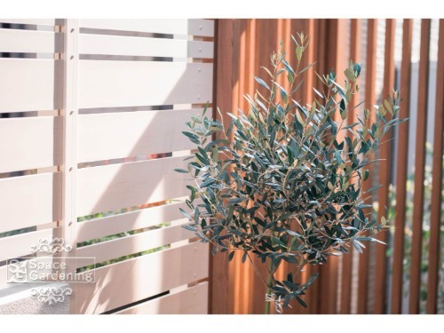 �ܱ����ե��󥹡���GL+2250